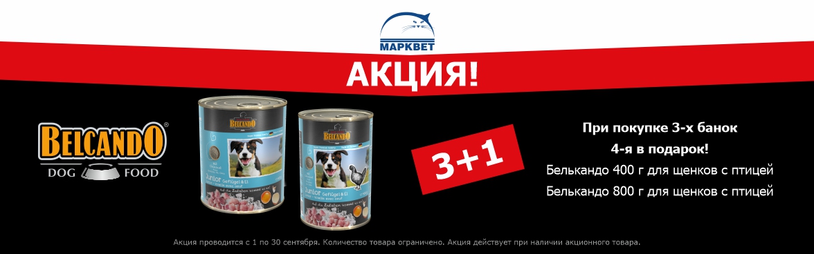 Марквет - сеть зоомагазинов и ветеринарных аптек в Москве