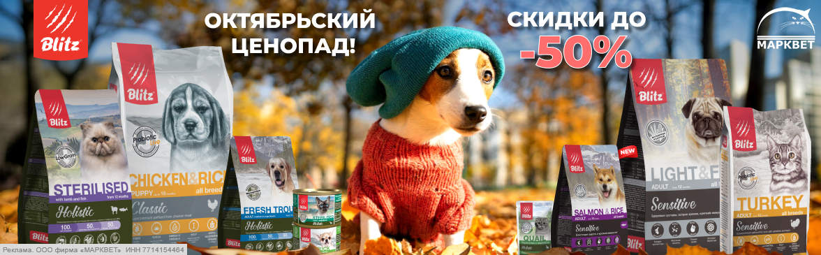 BLITZ выборочно до 50%__10.2025