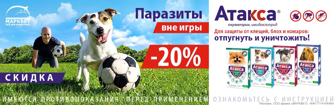 АТАКСА - 20%__07.2025