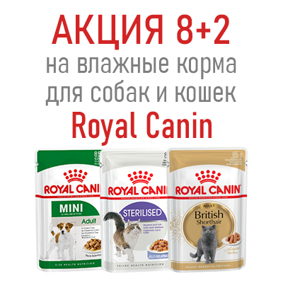 ROYAL CANIN - акция 8+2 на паучи для кошек и собак!