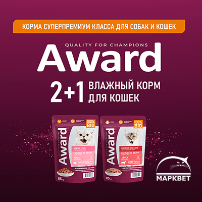 AWARD - акция 2+1 на паучи для кошек!