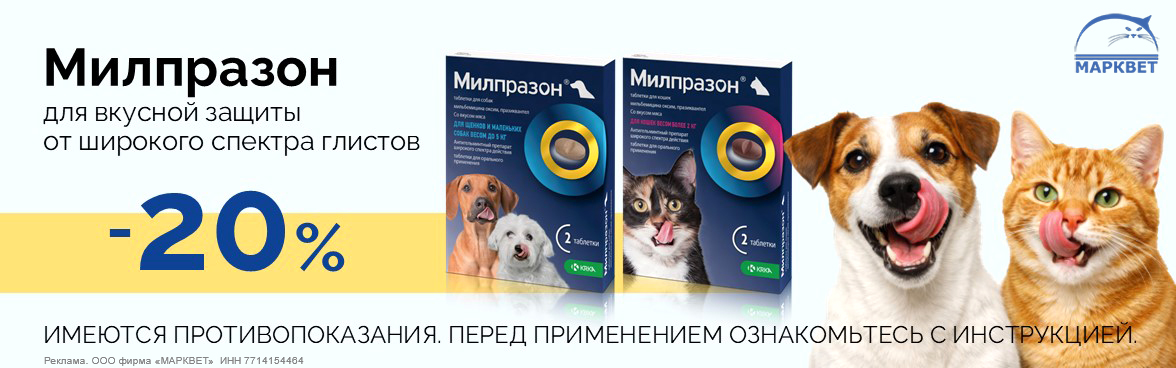 МИЛПРАЗОН - 20%__10.2026