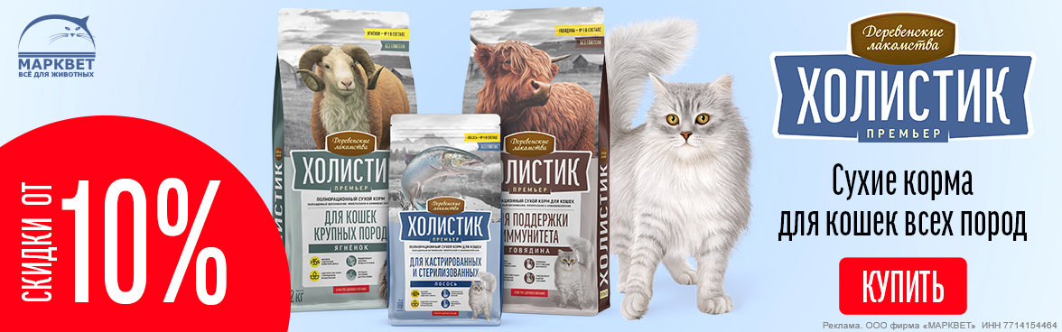 ХОЛИСТИК ПРЕМЬЕР для кошек до 15%__12.2025