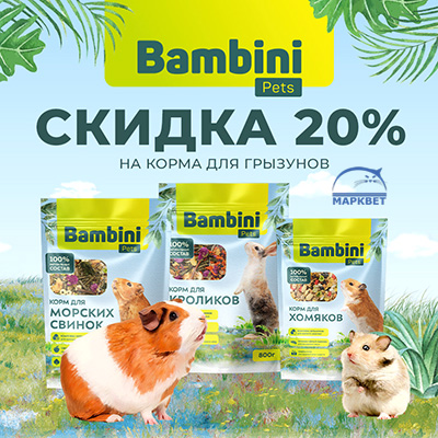 BAMBINI - 20% на корма для грызунов!