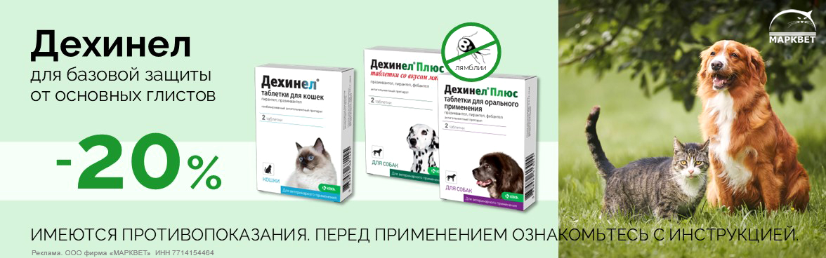 ДЕХИНЕЛ - 20%__10.2026