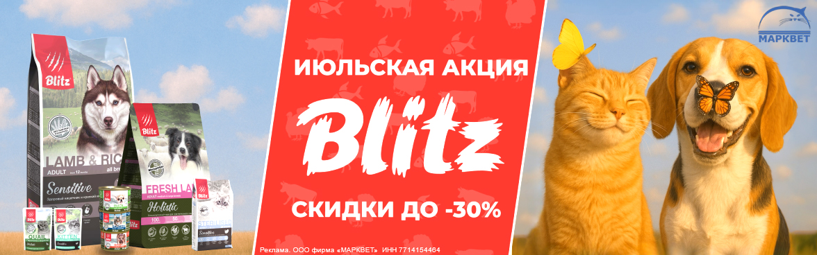 BLITZ выборочно до 30%__07.2025