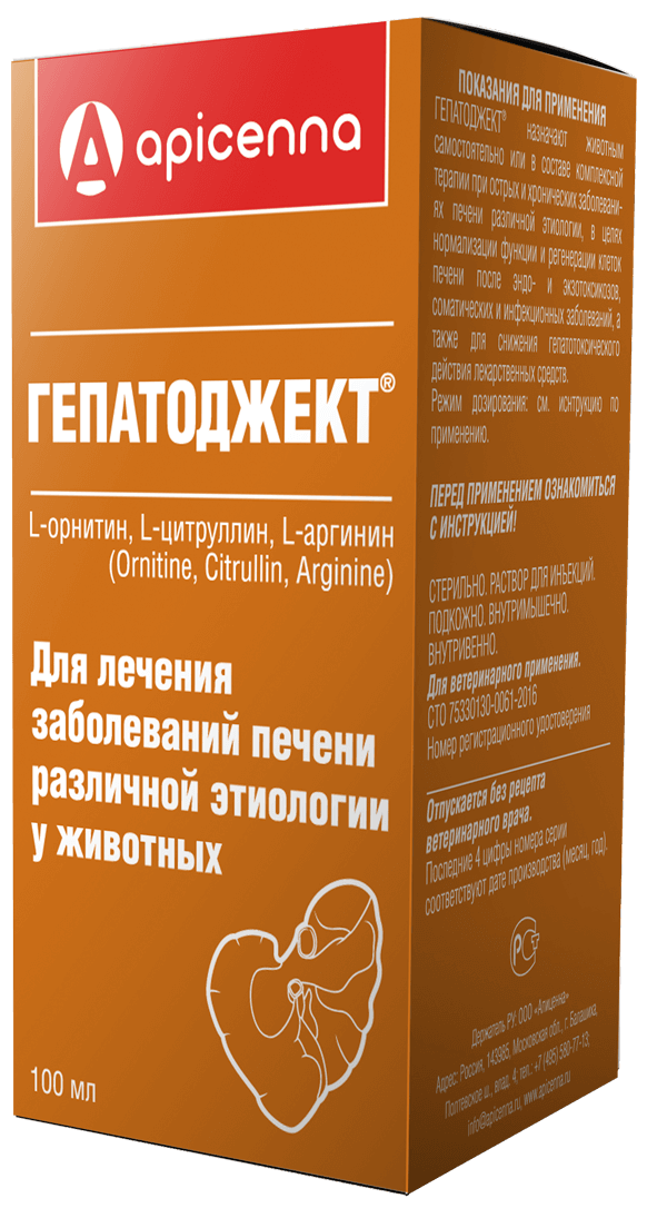 Заболевания печени у кошек: причины, признаки и симптомы