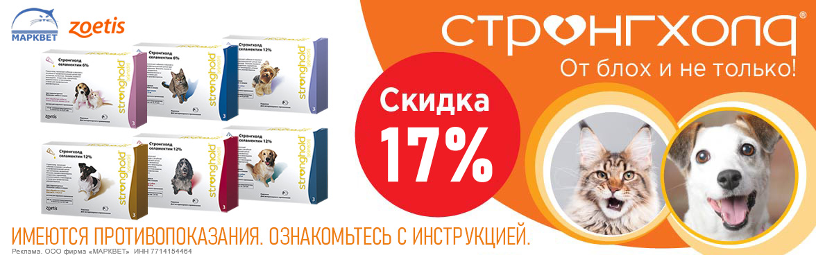 СТРОНГХОЛД - 17%__08.2026