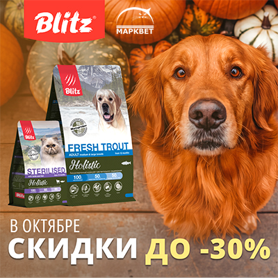BLITZ - скидки до 30% на корма для собак и кошек!