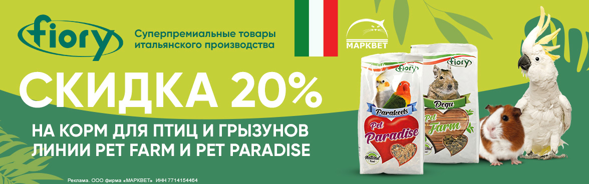 FIORY Pet Paradise - 20%__02.2026