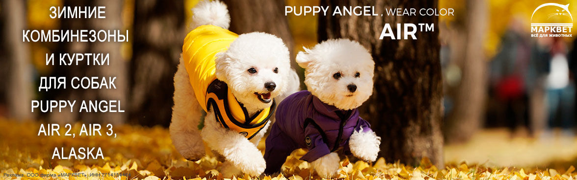 PUPPY ANGEL AIR__10.2023