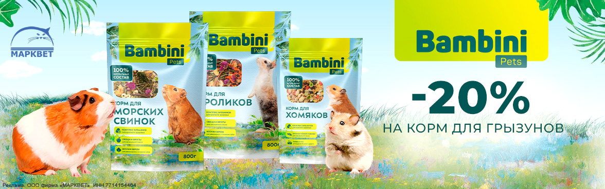 BAMBINI корма для грызунов - 20%__09.2025