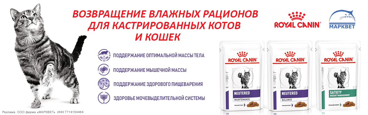 ROYAL CANIN паучи для кастрированных__11.2024