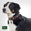 Ошейник для собак ХАНТЕР Юма 65, 39мм/51-58,5см, коричневый, натуральная кожа, 63819, HUNTER YUMA