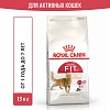 Роял Канин ФИТ сухой корм для кошек в возрасте от 1 до 7 лет, 15кг, ROYAL CANIN Fit 32