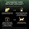 Про План ЛАЙФ КЛЕА сухой корм для стерилизованных Кошек, снижает количество аллергенов в шерсти, с индейкой 400г, PRO PLAN LIVECLEAR