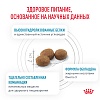 Роял Канин ГИПОАЛЛЕРДЖЕНИК лечебный сухой корм для собак, 14кг, ROYAL CANIN Hypoallergenic