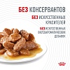 Роял Канин ХЭЙР ЭНД СКИН влажный корм для кошек для здоровья кожи и шерсти, кусочки в соусе, 85г, ROYAL CANIN Hair & Skin Care