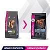 Эукануба сухой корм для собак крупных пород с птицей, 15кг, EUKANUBA Adult Large Breed 