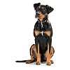Ошейник для собак Хантер СВИСС 60, 39мм/47-54см, коричневый/черный, натуральная кожа, 42831, HUNTER Swiss