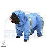 Комбинезон для собаки ЯПОНСКИЙ ХИН, спортивный дождевик без подкладки, на суку, длина спины 30см, обхват груди 44см, ТУЗИК