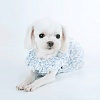 Платье летнее для собак С БАНТОМ, размеры S-L, цвет в ассортименте, 253 PA-DR, PUPPY ANGEL