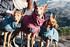 Попона утепленная для собак Хуртта ЭКСПЕДИШН ПАРКА 70, длина спины 70см, объем груди 60-110см, ягодная, полиэстер, 933733, HURTTA Expedition Parka