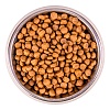 Монж Би Вайлд ЛАДЖ БРИД сухой корм для крупных кошек, беззерновой, с буйволом и картофелем,  1,5кг, MONGE BWild Grain Free Large Breed