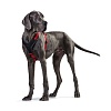 Шлейка для собак ХАНТЕР Неопрен, размер XS, 15мм/38-48см. красная/черная, нейлон/неопрен, 62248, HUNTER Neopren 