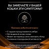 Пурина OM ОБЕСИТИ лечебный влажный корм для Кошек при ожирении, кусочки в соусе, с курицей, 85г, Purina OM Obesity Management