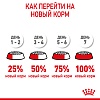 Роял Канин МИНИ ПАППИ сухой корм для щенков мелких пород,  800г, ROYAL CANIN Mini Puppy