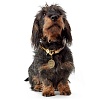 Ошейник для собак ХАНТЕР Лист 8мм/45см, нерегулируемый, бежевый, с карабином, нейлон, 65923, HUNTER LIST