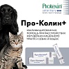ПРО-КОЛИН препарат для поддержания и восстановления нормальной микрофлоры кишечника, шприц 15 мл, PROTEXIN PRO-KOLIN+