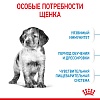 Роял Канин МЕДИУМ ПАППИ сухой корм для щенков средних пород,  3кг, ROYAL CANIN Medium Puppy