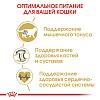 Роял Канин БРИТАНСКАЯ КОРОТКОШЕРСТНАЯ сухой корм для кошек породы британская короткошерстная,  4кг, ROYAL CANIN British Shorthair