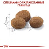 Роял Канин СТЕРИЛАЙЗД 7+  сухой корм для стерилизованных кошек старше 7 лет, 1,5кг, ROYAL CANIN Sterilised 7+