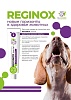 РЕГИНОКС ДЕНТАЛ средство для ухода за полостью рта собак и кошек 10г, REGINOX DENTAL