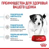 Роял Канин МИНИ ПАППИ сухой корм для щенков мелких пород,  800г, ROYAL CANIN Mini Puppy