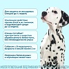 ФИПРИСТ КОМБО препарат от клещей, блох, вшей, власоедов для собак весом 20-40кг, 1 пипетка, КRКА Fiprist Combo