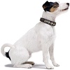 Ошейник для собак ХАНТЕР Аризона 60, 39мм/47-54см, коричневый/коричневый, натуральная кожа, 60446, HUNTER ARIZONA