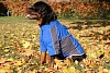 Попона дождевик для собак Ставанджер, полиэстер, синяя, размер 3XL,61331,	HUNTER