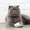 Игрушка для кошек МЫШКА СО ЗВУКОМ с кошачьей мятой 4 см, 70377М, PETSTAGES