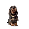 Ошейник для собак ХАНТЕР Лист 8мм/40см, нерегулируемый, бежевый, с карабином, нейлон, 65922, HUNTER LIST