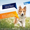 АДВОКАТ капли на холку от блох, чесоточных клещей и круглых гельминтов для собак от 10 до 25кг, 3 пипетки, ELANCO Advocate