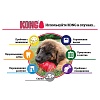 Игрушка для собак Конг КЛАССИК, размер L, 10см, резина, T1, KONG Classic