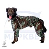 Комбинезон для собаки КАНЕ-КОРСО, дождевик - камуфляж, без подкладки, на кобеля, длина спины 72см, обхват груди 97см, ТУЗИК