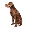Намордник для собак Хантер №9, обхват морды до 38см, бежевый, пластик, 92501, HUNTER Plastic Muzzle