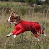 Комбинезон-Дождевик для собак ОССО 60-2С (спина 60см/грудь 84-104см) на суку, полиэстер, OSSO