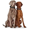 Ошейник для собак ХАНТЕР Ларвик Стайл 55, 35мм/36-46см, темно-коричневый/черный, натуральная кожа, 66176, HUNTER LARVIK STYLE
