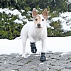 Ботинки для собак ВОЛКЕР АКТИВ, размер XS-S (Вест Хайленд Вайт Терьер), подошва до 4,5см, в упаковке 2шт, ТПР, полиэстер, TRIXIE